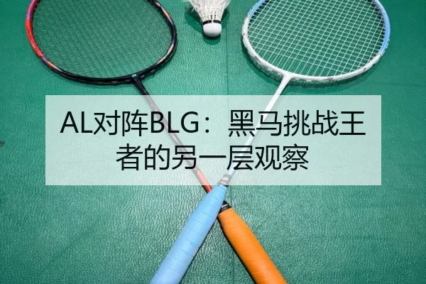 dui-zhen-hei-ma-tiao-zhan-wang-zhe-de-ling-yi-ceng-guan-cha-2-451.jpg